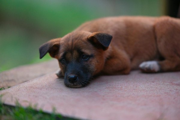 Wie kann man den besten Zeitpunkt fÃ¼r den Immobilienkauf bestimmen?